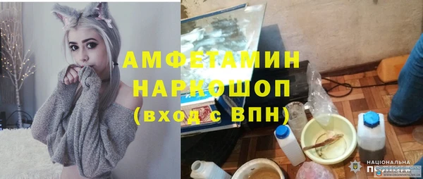 индика Алексин