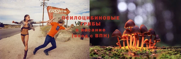 индика Алексин