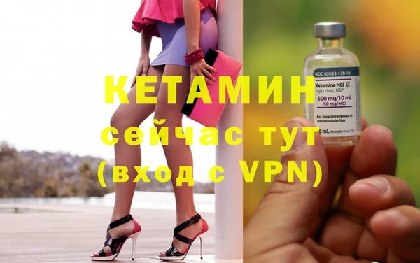 индика Алексин