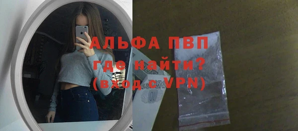 индика Алексин